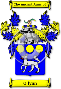 O lynn Family Crest Download (jpg) Legacy Series - 150 DPI